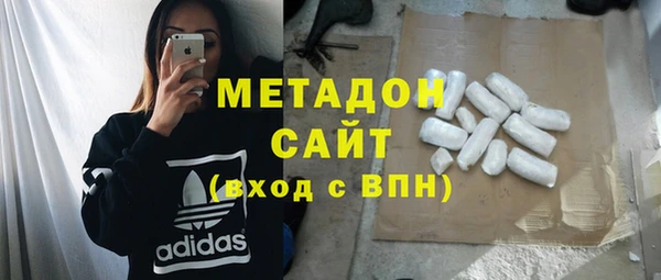 хмурый Аркадак