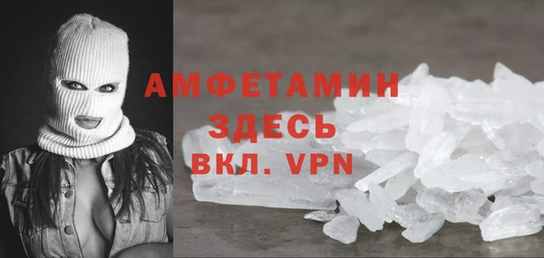 хмурый Аркадак