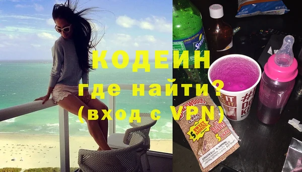хмурый Аркадак