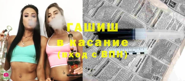 хмурый Аркадак