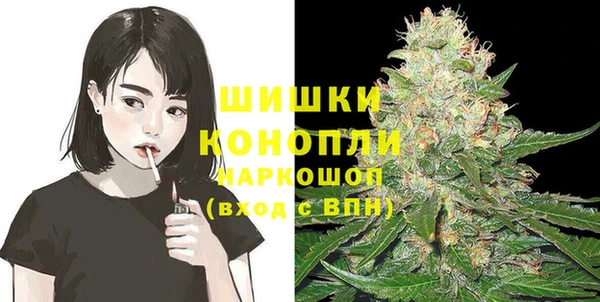 хмурый Аркадак