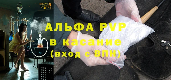 хмурый Аркадак