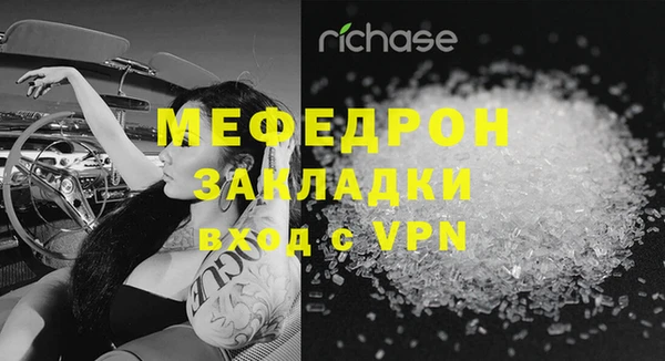 хмурый Аркадак