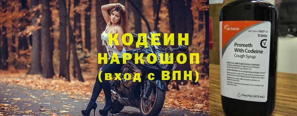 хмурый Аркадак