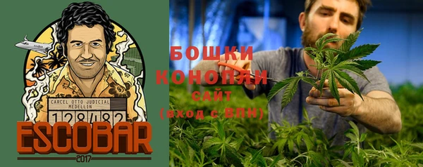 хмурый Аркадак